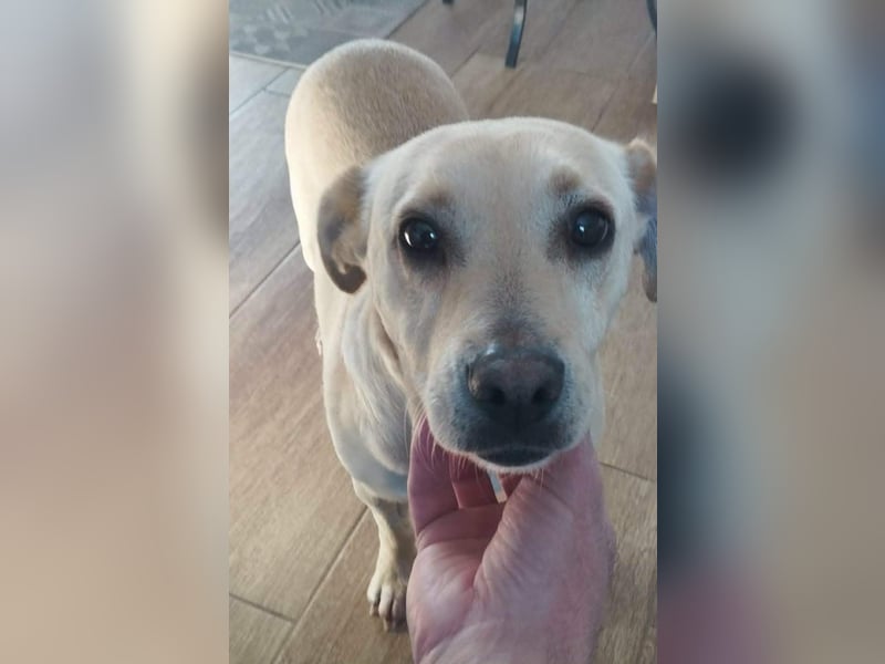 Baba, geboren 05.2023, 38cm sucht Menschen mit Herz