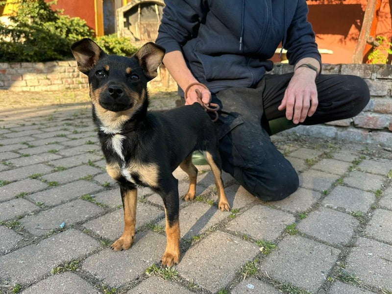 Tina, geboren 20.01.2026, 32cm sucht ihr Glück