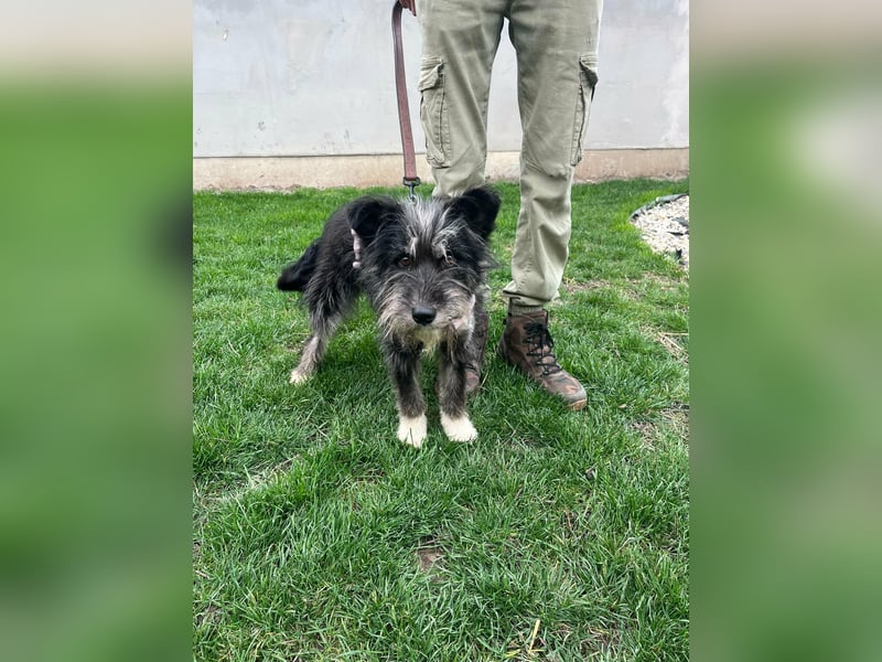 Laura, geboren 01.01.2023, 39cm sucht ihre Familie