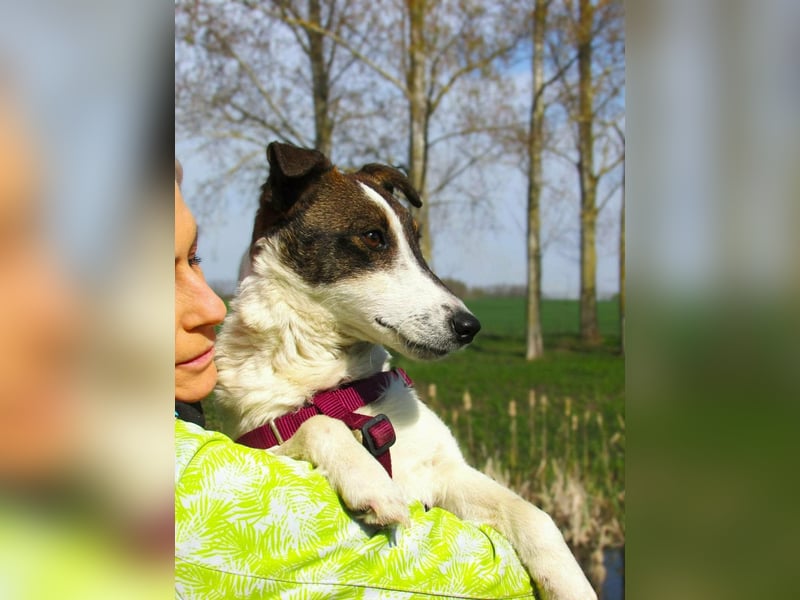Szamoca, geboren 06.2025, 35cm sucht ihre Familie