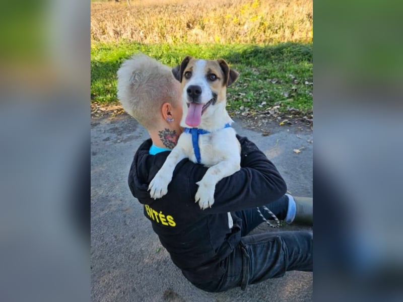 Wyatt, geboren 06.2025, 35cm sucht sein Zuhause