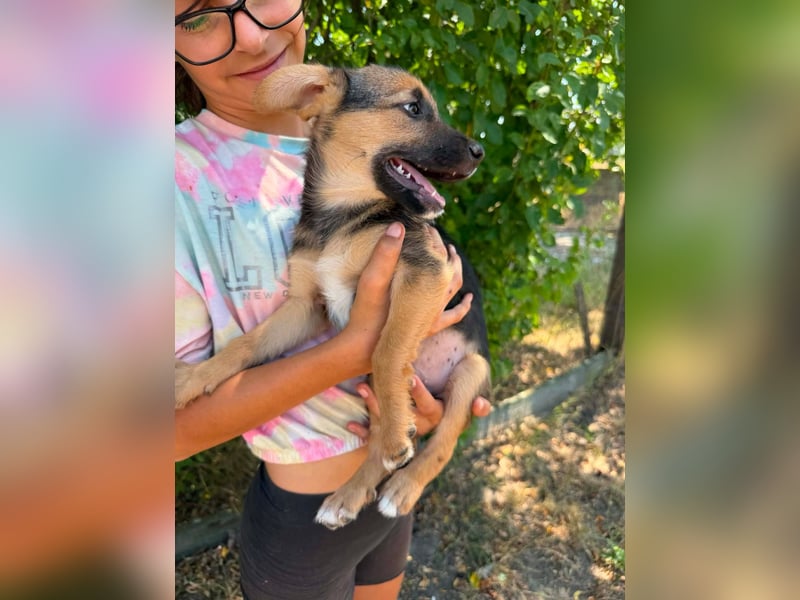 Dark, geboren 25.05.2026, 29cm sucht seine Menschen