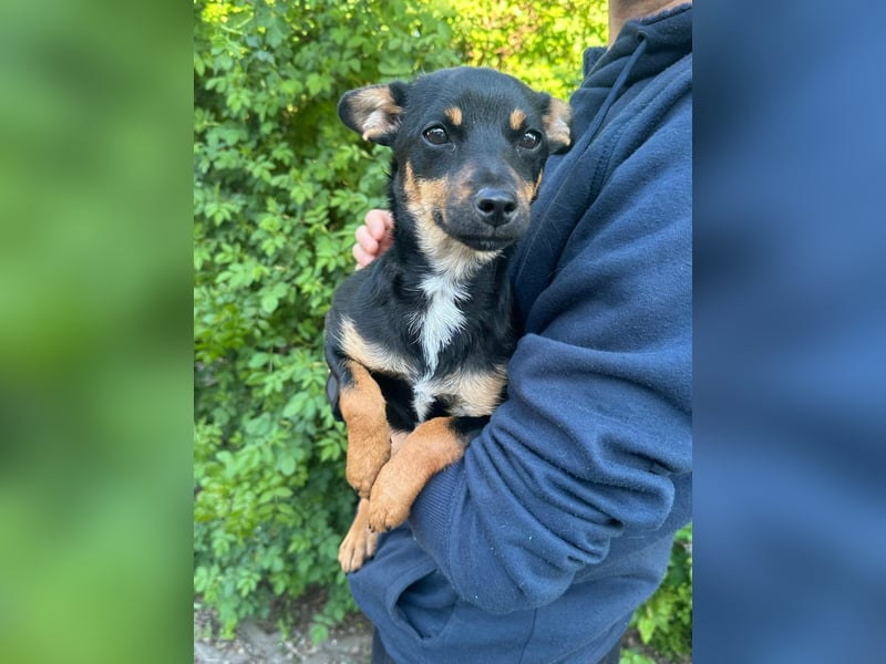 Tina, geboren 20.01.2026, 32cm sucht ihr Glück