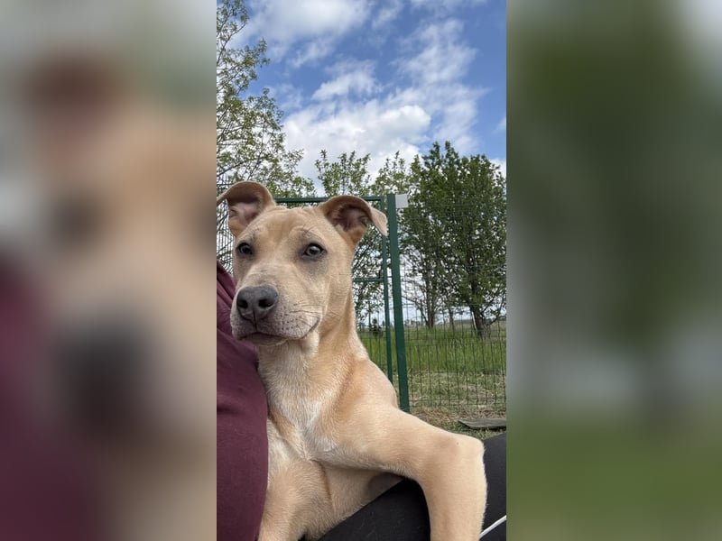 Bori, geb. 09.2025, 37cm sucht ihr Traumzuhause