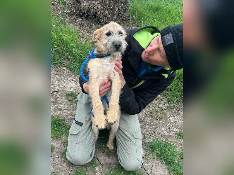 Evita, geboren 19.10.2025, 41cm sucht ihr Glück