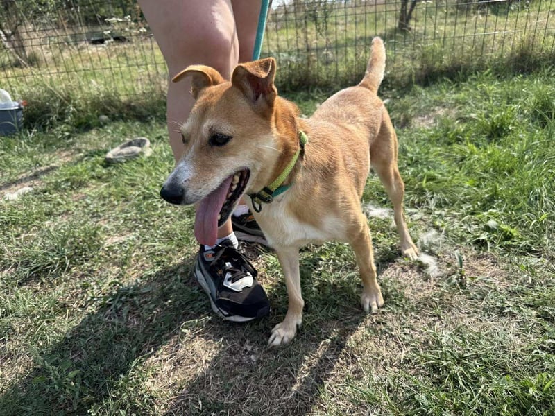 Wendy, geboren 07.2018, 42cm sucht ihr Für-Immer-Zuhause