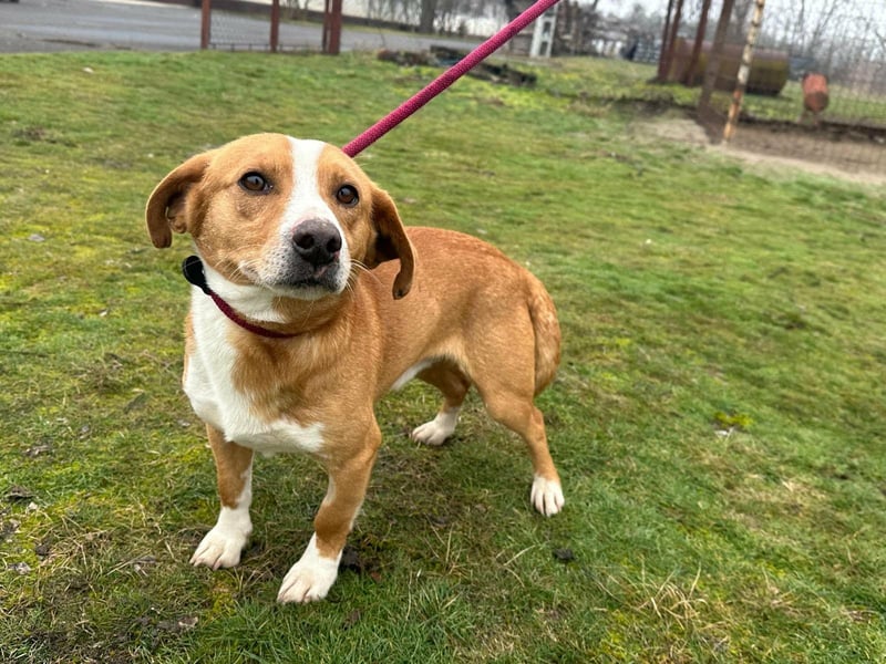 Barnabas, geboren 10.05.2025, 38cm sucht sein Zuhause