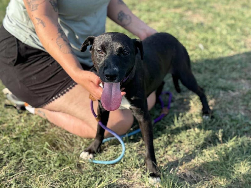 Nikita, geboren 25.12.2024, 40cm sucht ihre Chance