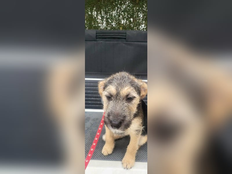 Evita, geboren 19.10.2025, 32cm sucht ihr Glück