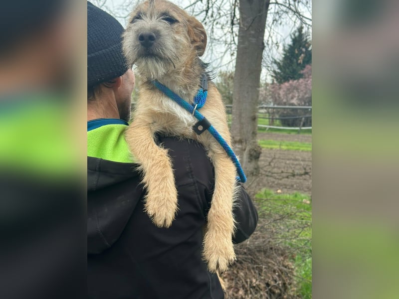 Evita, geboren 19.10.2025, 41cm sucht ihr Glück