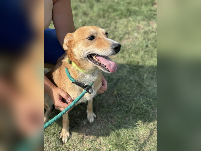 Wendy, geboren 07.2018, 42cm sucht ihr Für-Immer-Zuhause