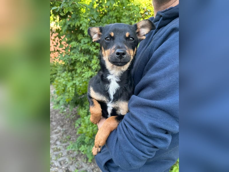 Tina, geboren 20.01.2026, 32cm sucht ihr Glück