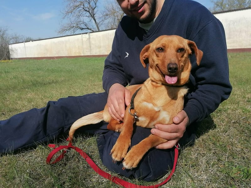Bubu, geb. 05.2025, 35cm, sucht seine Familie