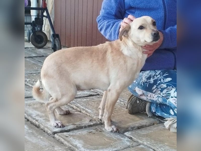 Baba, geb. 05.2023, 38cm sucht Menschen mit Herz