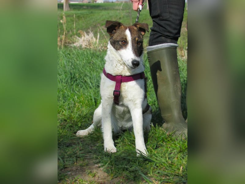 Szamoca, geboren 06.2025, 35cm sucht ihre Familie