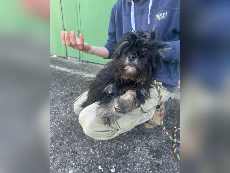 Polly, geboren 26.03.2025, 28cm sucht sein Plätzchen