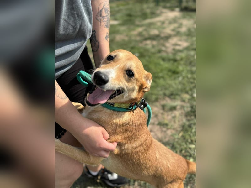 Wendy, geboren 07.2018, 42cm sucht ihr Für-Immer-Zuhause