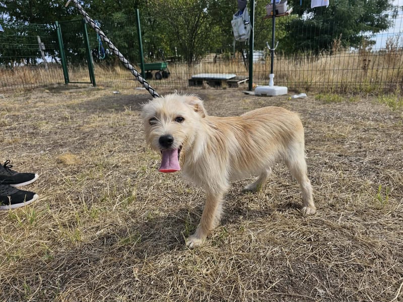 Lora, geboren 01.04.2026, 40cm sucht ihr Zuhause