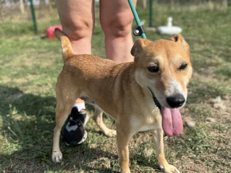 Wendy, geboren 07.2018, 42cm sucht ihr Für-Immer-Zuhause