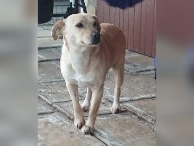 Baba, geb. 05.2023, 38cm sucht Menschen mit Herz