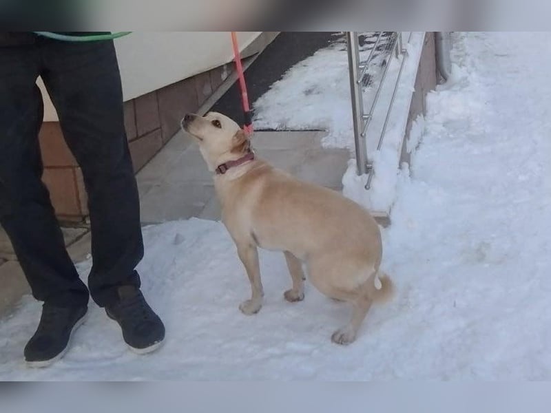 Baba, geboren 05.2023, 38cm sucht Menschen mit Herz