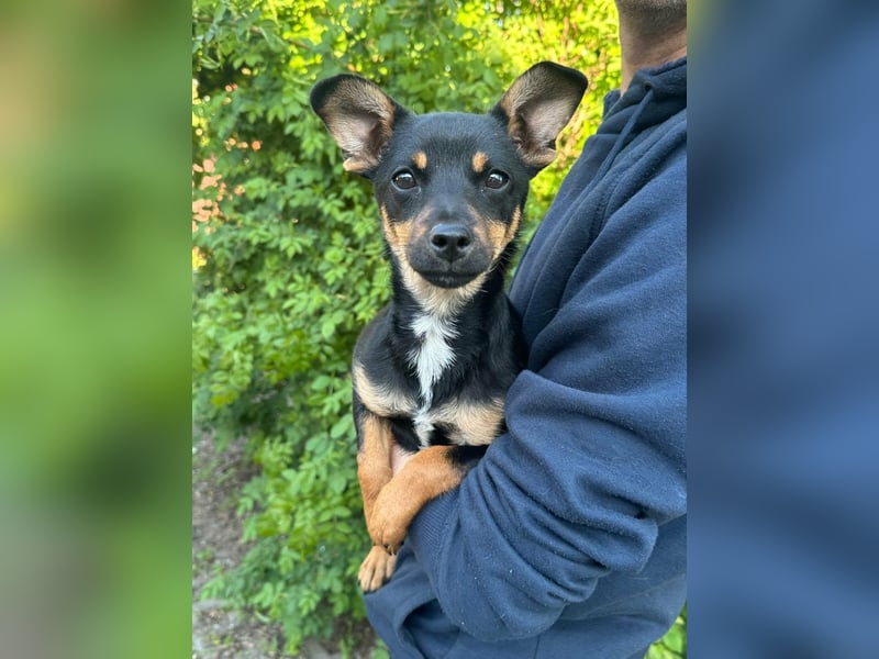 Tina, geboren 20.01.2026, 32cm sucht ihr Glück