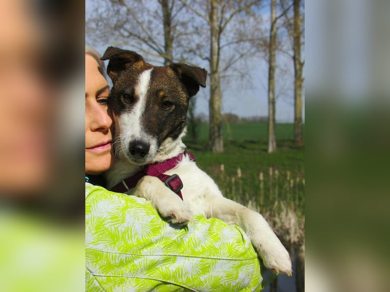 Szamoca, geboren 06.2025, 35cm sucht ihre Familie