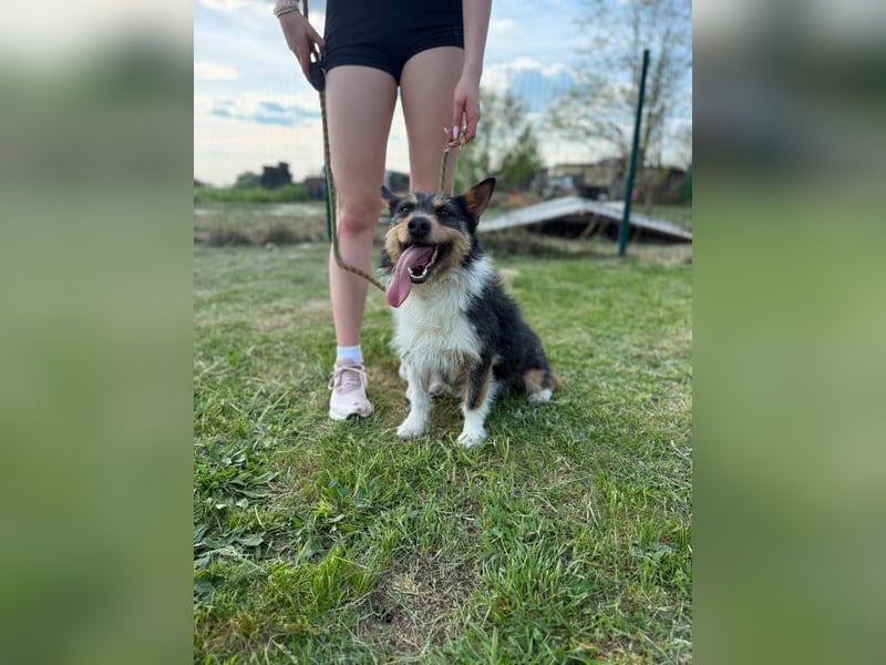 Cuki wartet auf tolle Abenteuer