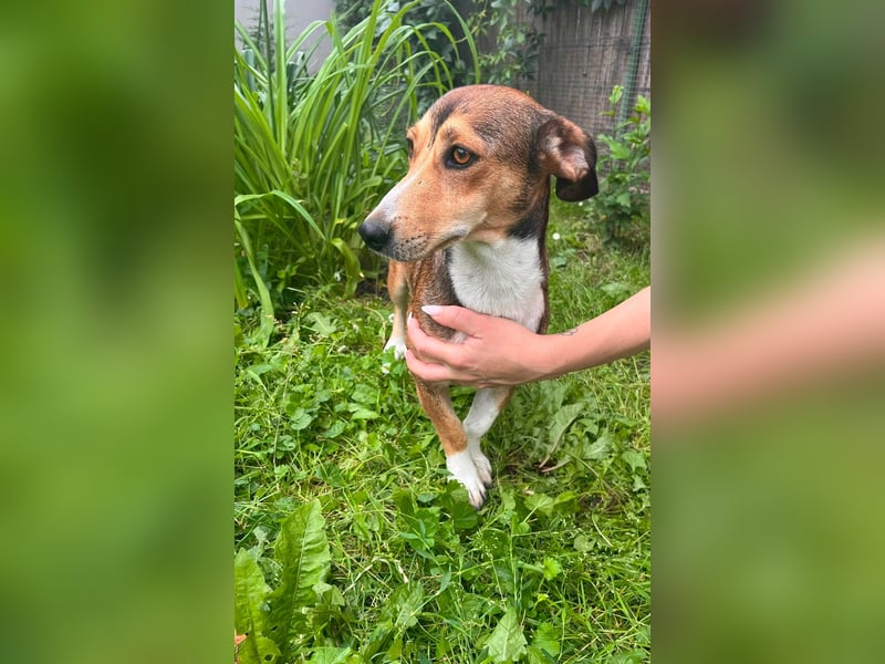 Inez, geboren 02.04.2024, 30cm sucht ihr Zuhause