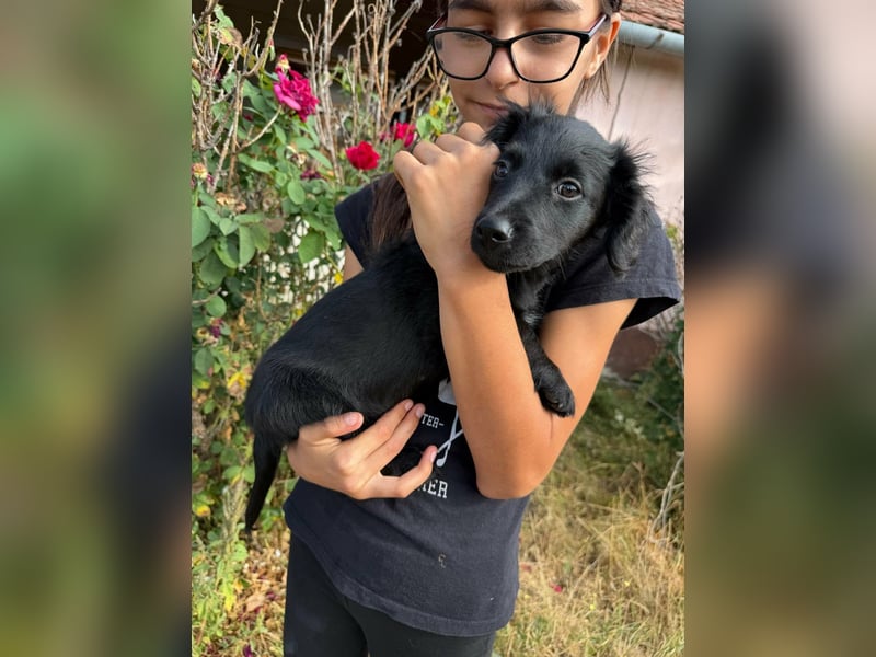 Evelyn, geboren 05.07.2026, 25cm sucht ihre Menschen