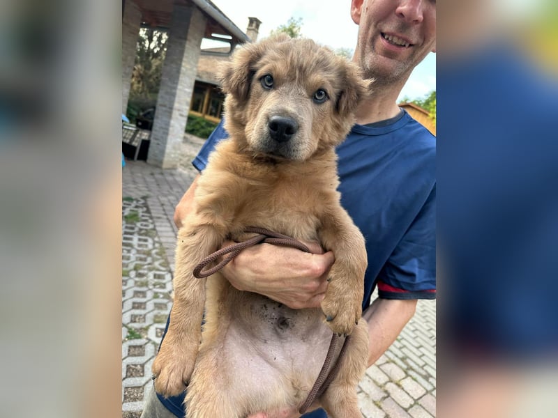 Jonathan, geboren 08.02.2026, 33cm sucht liebvolles Zuhause
