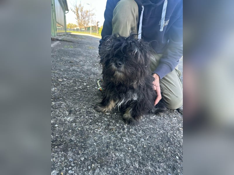 Polly, geboren 26.03.2025, 28cm sucht sein Plätzchen