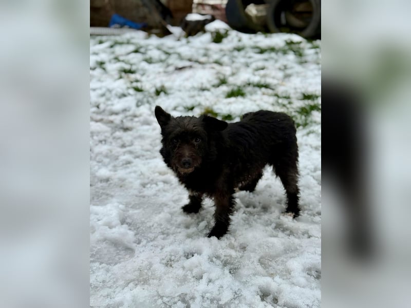 Neomi, geboren 01.06.2021, 32cm sucht ihr Glück