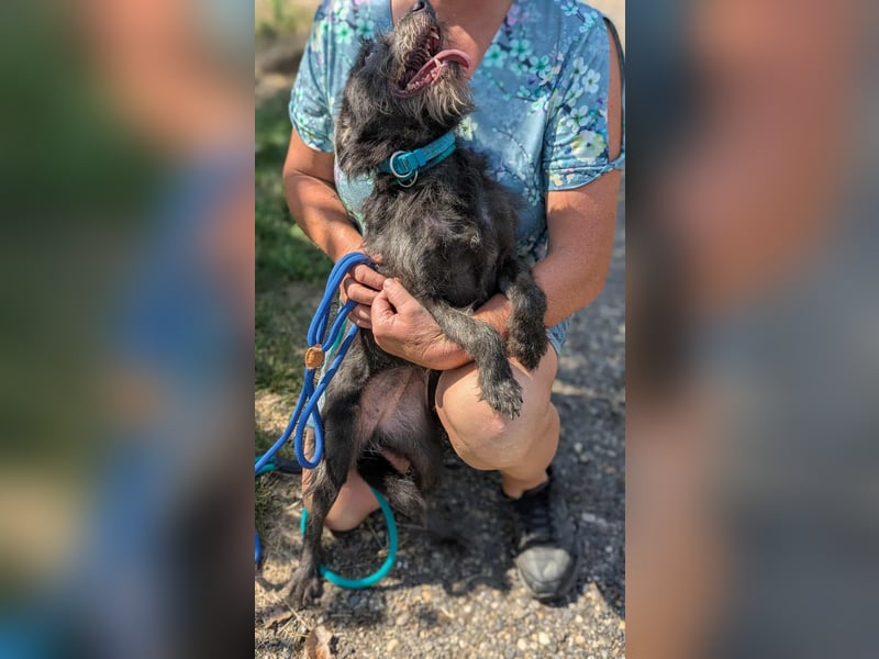 Amira, geboren 2022, 39cm sucht ihre Chance