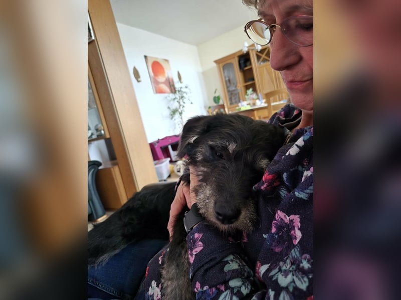 Ava geb. 12.2025, 35cm sucht ihr zu Hause