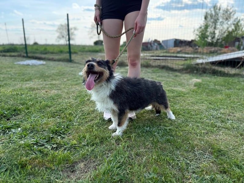 Cuki wartet auf tolle Abenteuer