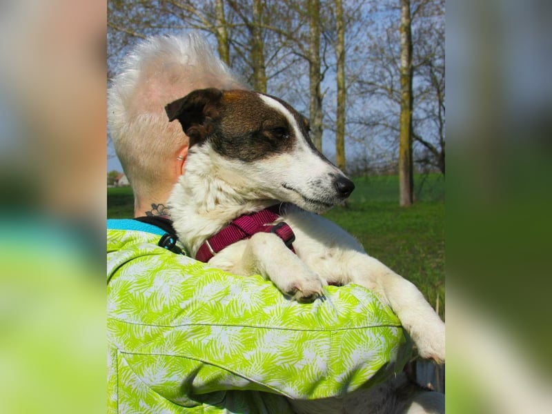 Szamoca, geboren 06.2025, 35cm sucht ihre Familie