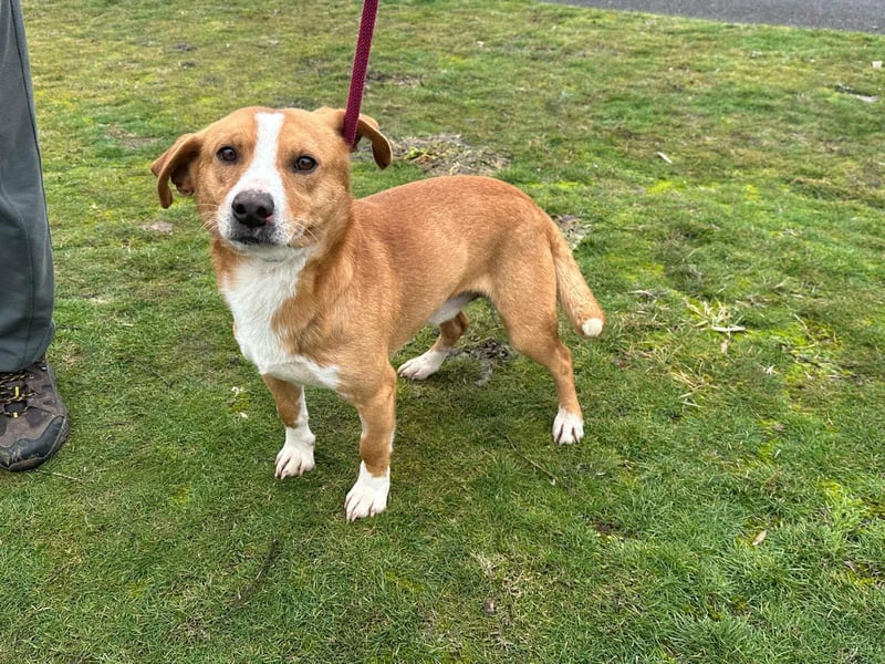 Barnabas, geboren 10.05.2025, 38cm sucht sein Zuhause