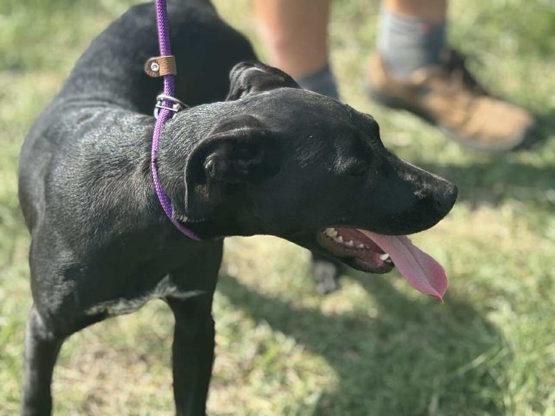 Hetty, geboren 25.01.2025, 42cm sucht ihre Familie