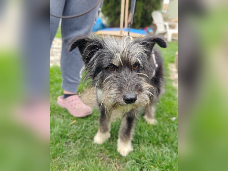 Laura, geboren 01.01.2023, 39cm sucht ihre Familie