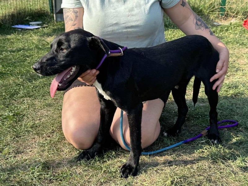 Anton, geboren 25.12.2024, 42cm sucht seine Menschen