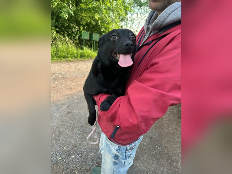Ajna, geb. 06/2024, 39 cm, sucht ihre Herzensmenschen