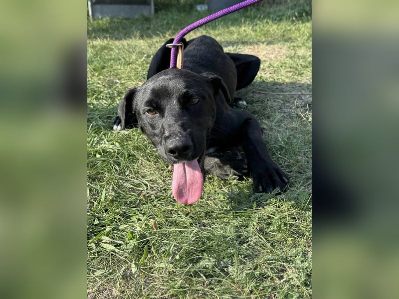 Anton, geboren 25.12.2024, 42cm sucht seine Menschen