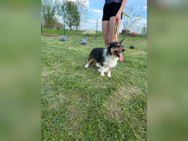 Cuki wartet auf tolle Abenteuer