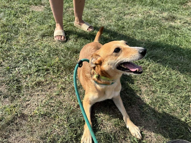 Wendy, geboren 07.2018, 42cm sucht ihr Für-Immer-Zuhause