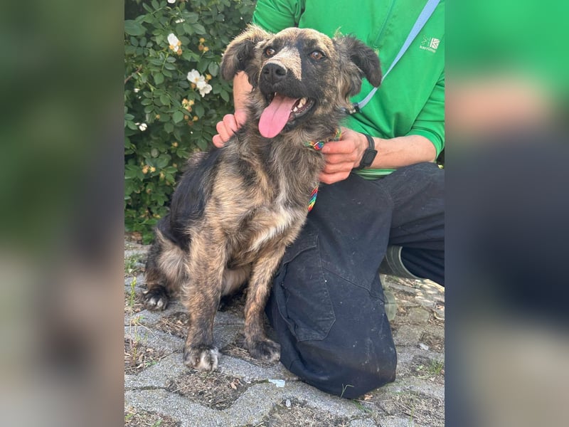 Nina, geb. 04.2025, 33cm sucht ihr Zuhause