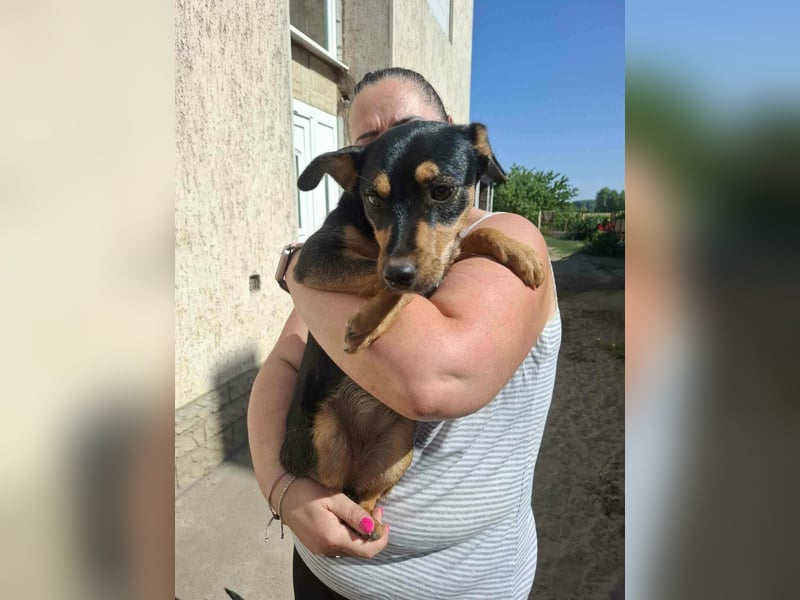 Jade, 8 Monate, 40cm sucht liebevolles Zuhause