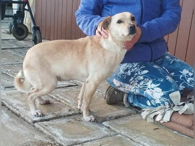 Baba, geboren 05.2023, 38cm sucht Menschen mit Herz