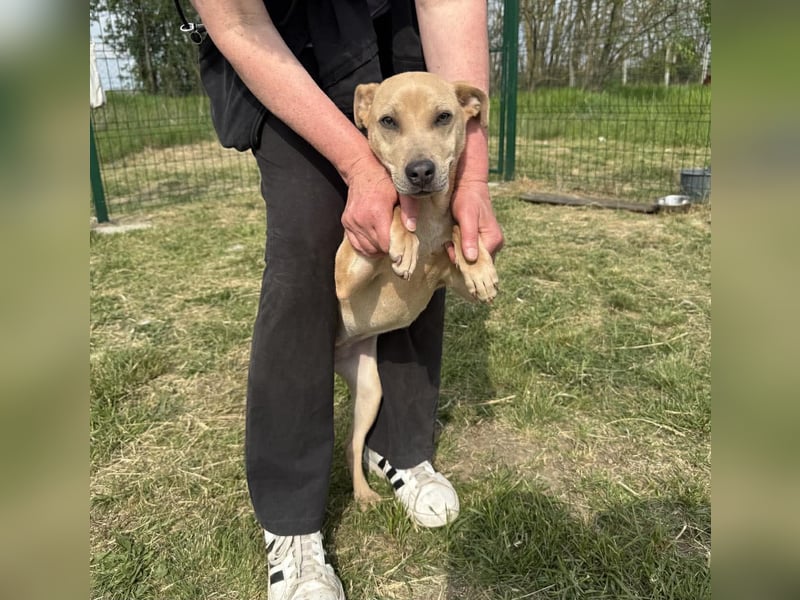 Bori, geboren 20.09.2025, 37cm sucht ihr Traumzuhause