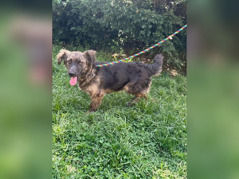 Nina, geb. 04.2025, 33cm sucht ihr Zuhause